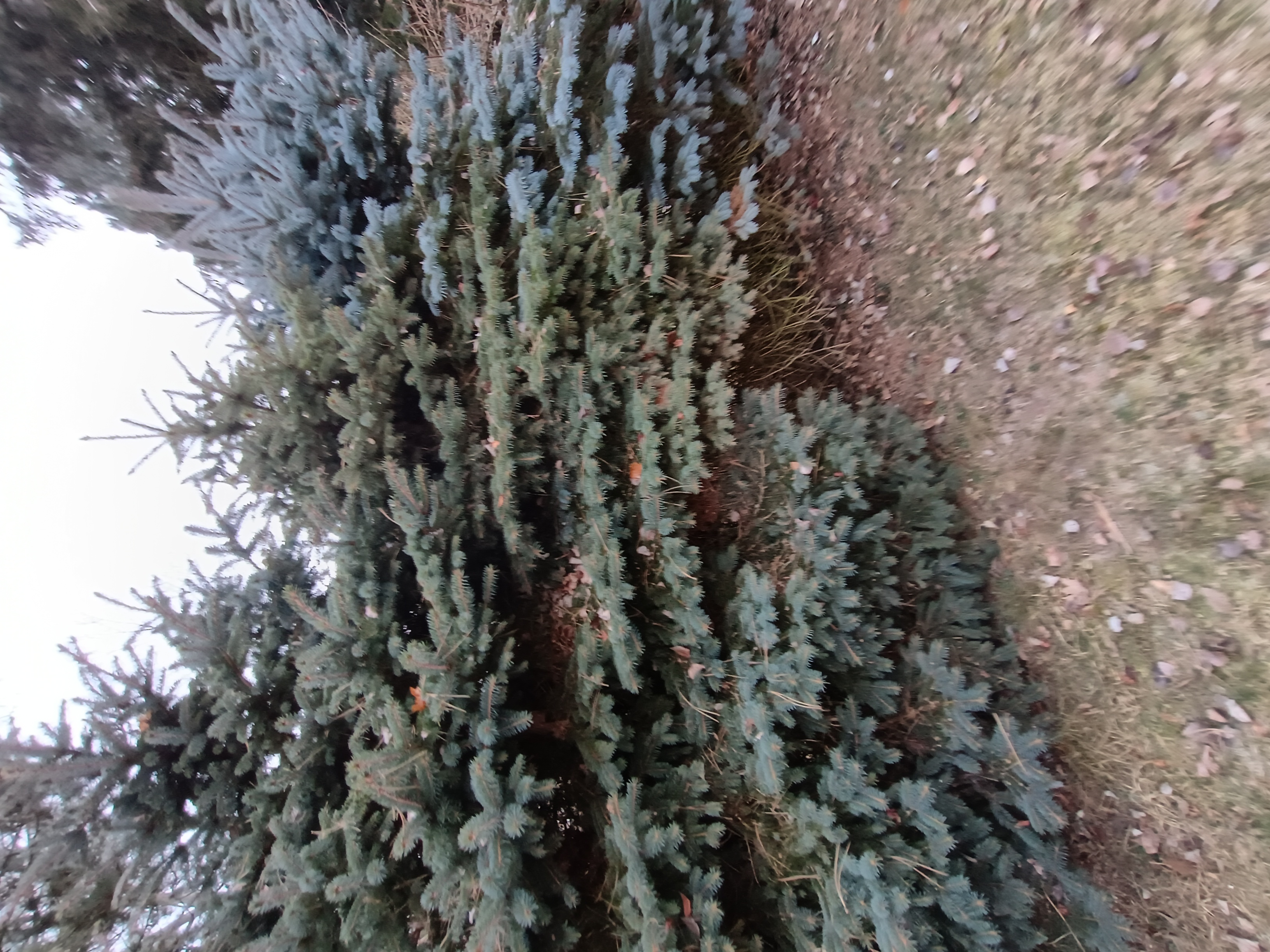 IMG_20260120_105301905_HDR