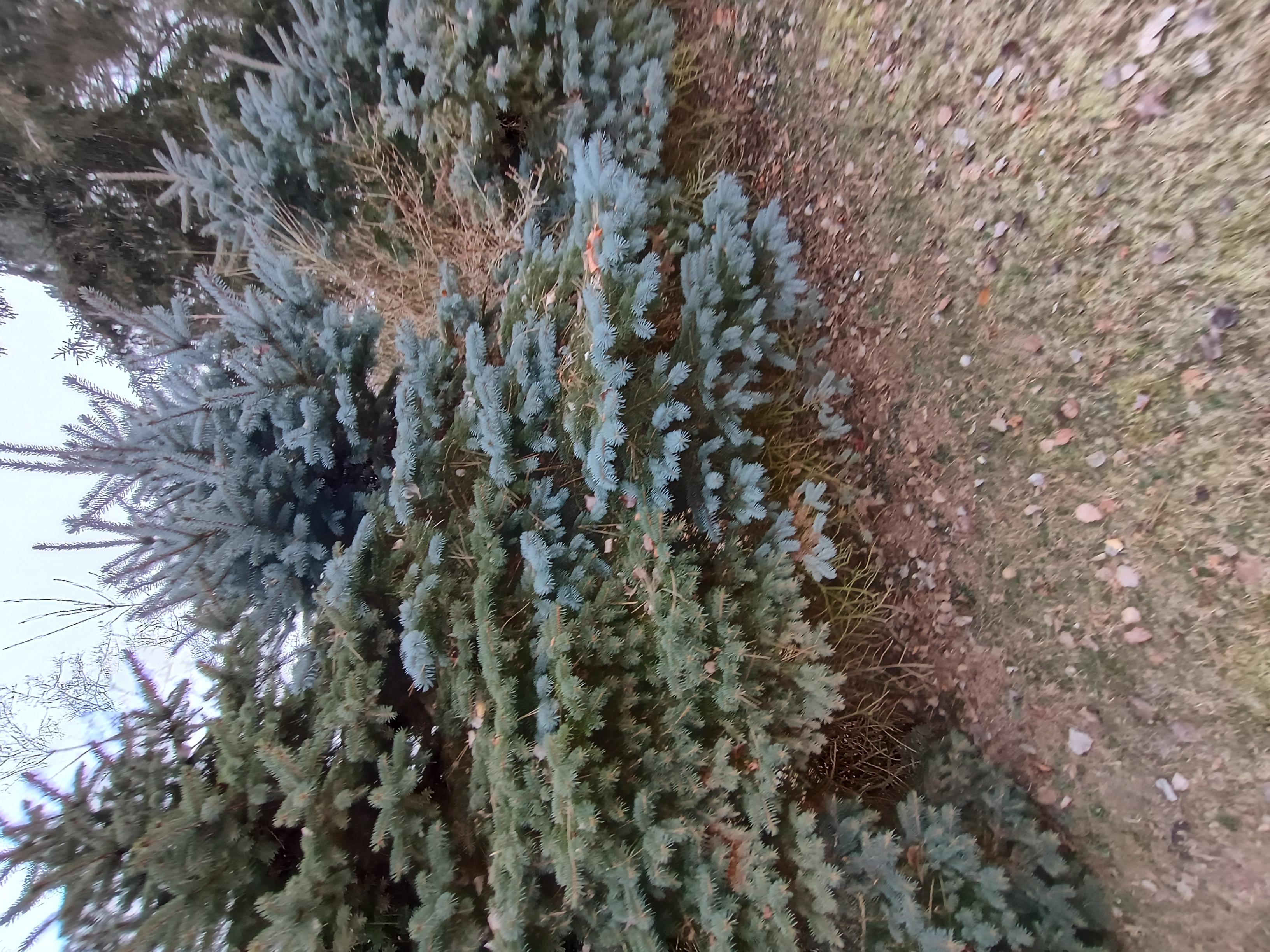 IMG_20260120_105304059_HDR