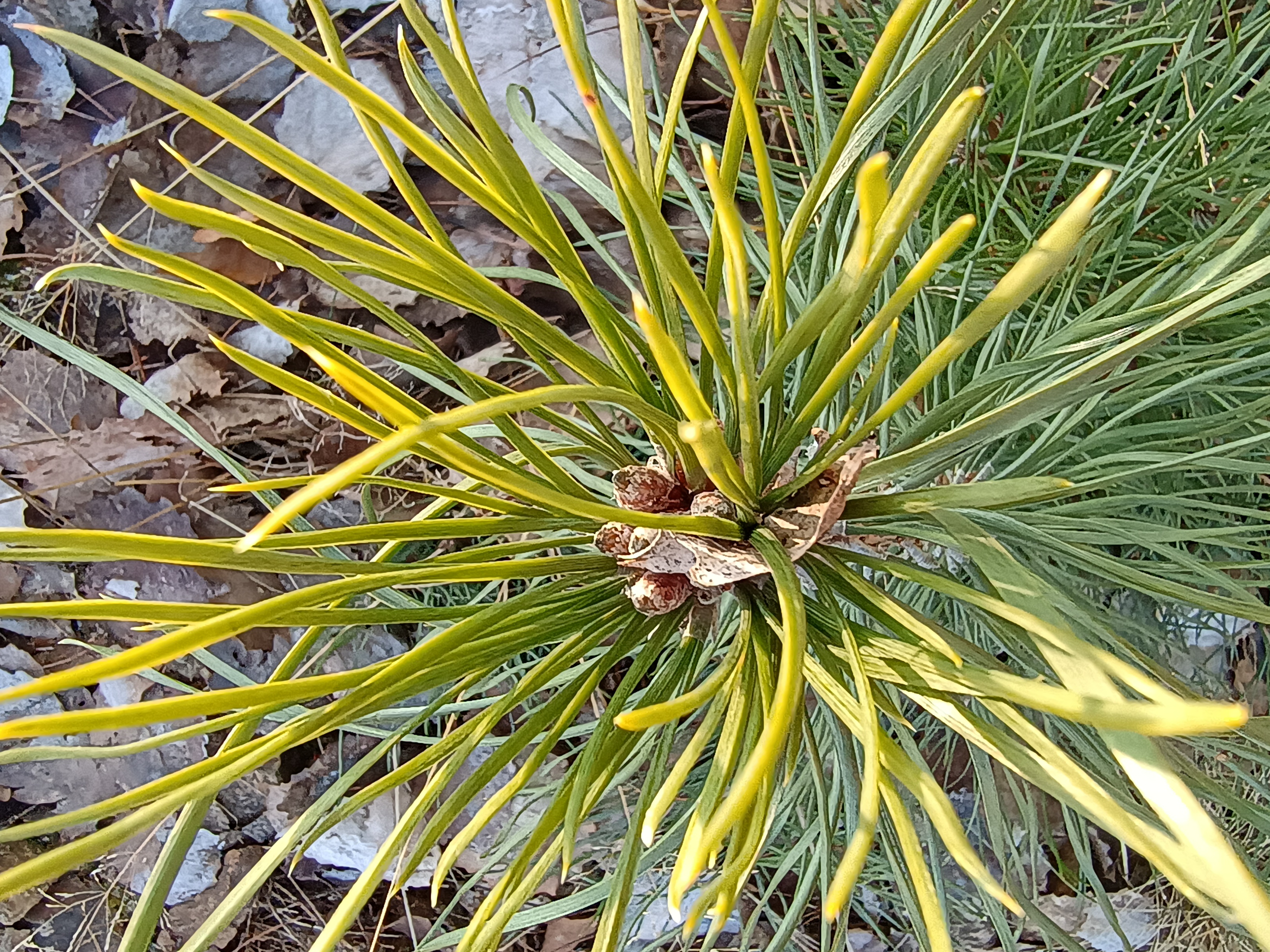 IMG_20260120_140021979