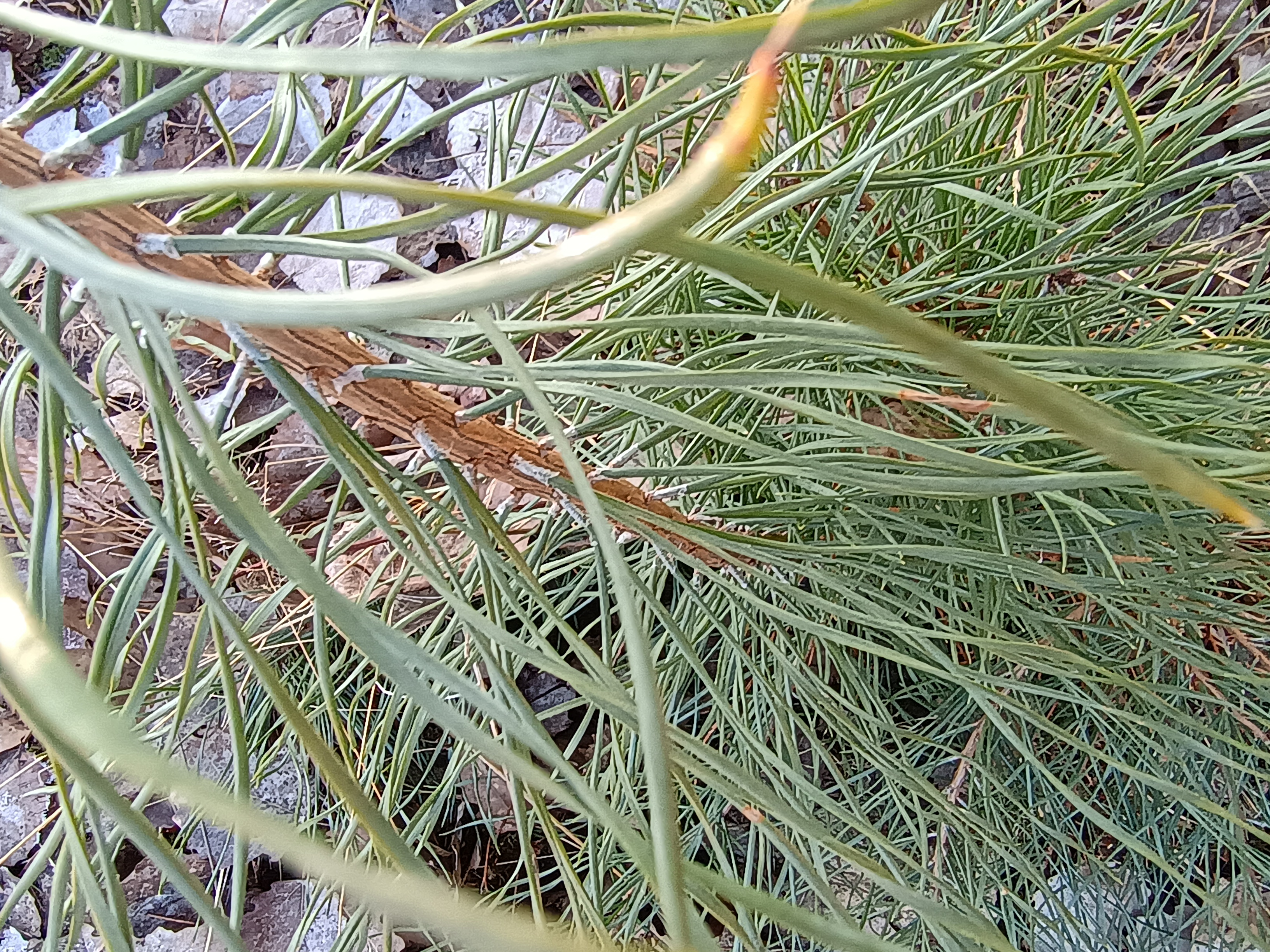 IMG_20260120_140030156_HDR